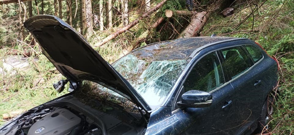 Crollano una serie di alberi e un'auto viene centrata mentre transita sulla strada forestale